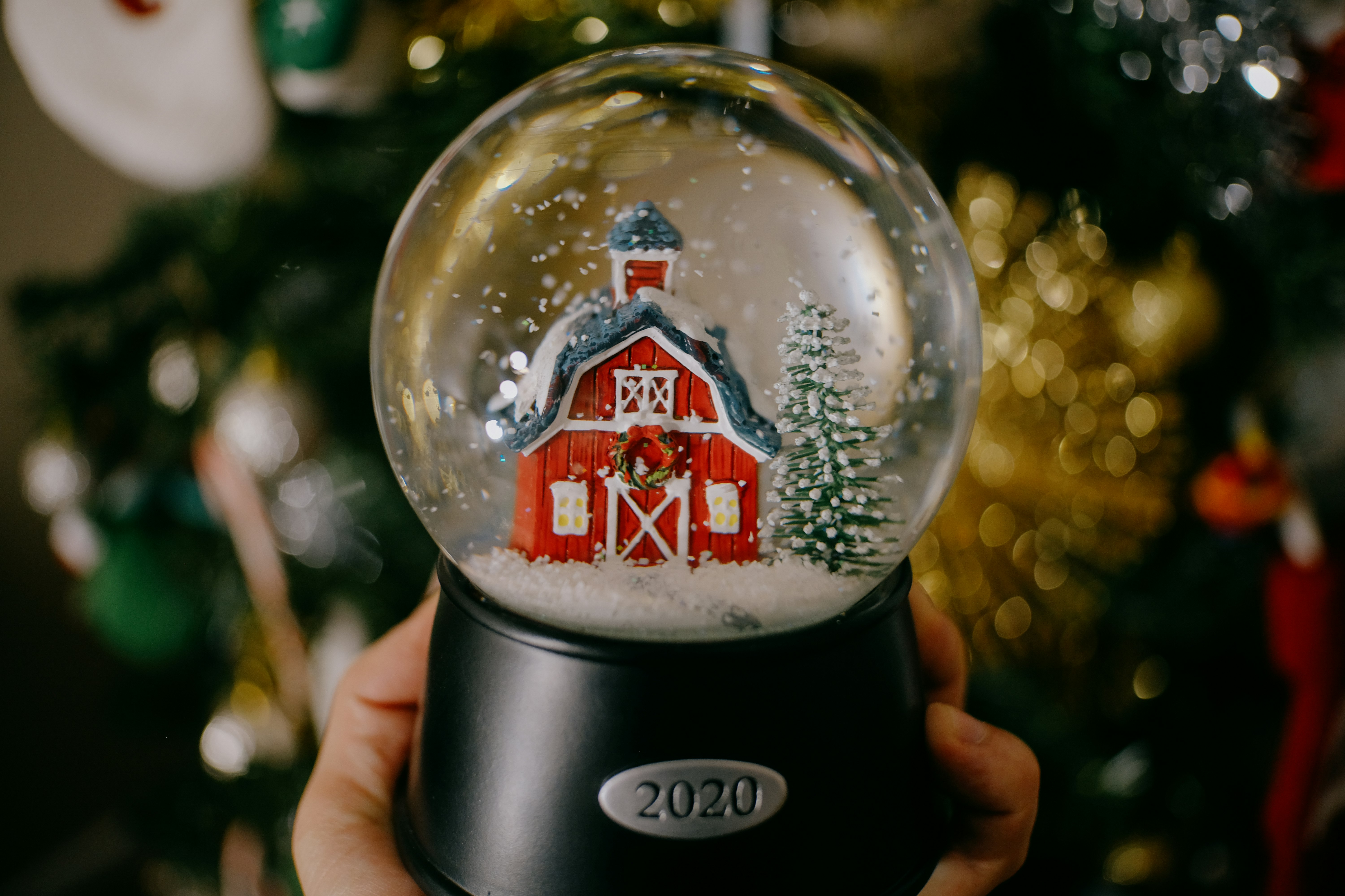 person holding black and red snow globe